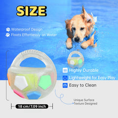 Jatmira squeaker ball toy for interactive play