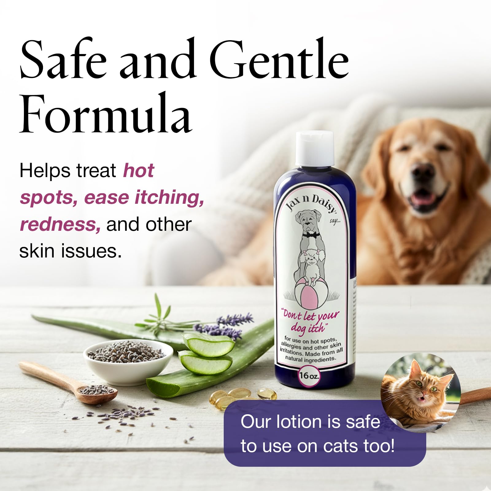 Jax N Daisy lotion ingredients lavender and aloe vera highlight gentle skin support.