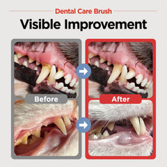 JAYU PET horizontal-head toothbrush for cats and small dogs, easing brushing sessions.