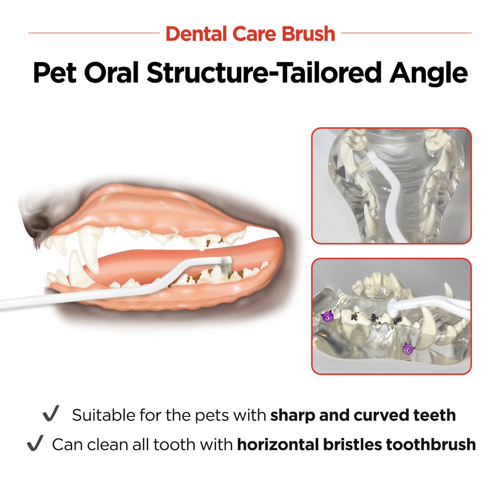 JAYU PET vet-developed design targets tartar on sharp teeth.