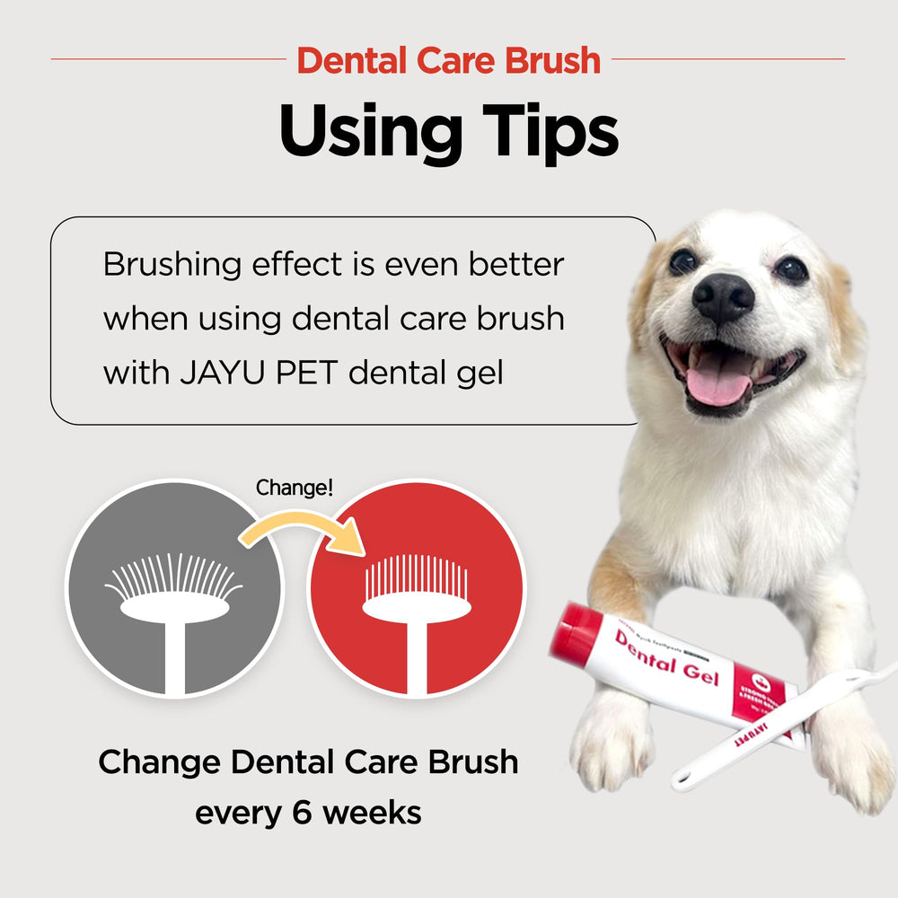JAYU PET toothbrush suitable for deep cleaning with minimal pressure.