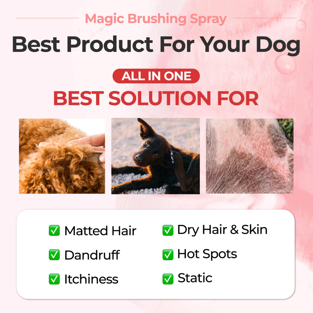 JAYU PET Magic Brushing Spray demonstrates shake to activate oil and water layers