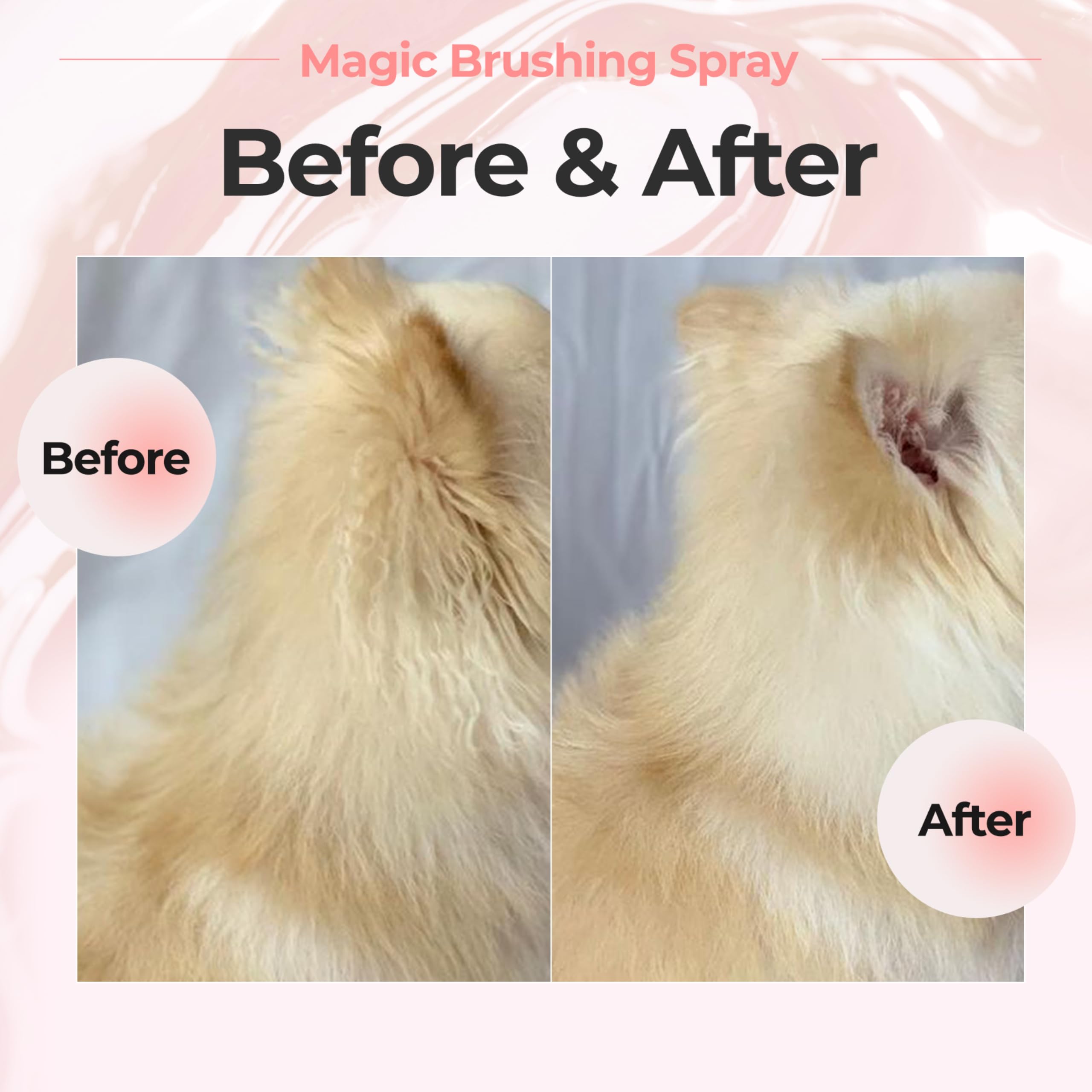 JAYU PET Magic Brushing Spray developed with vets for safe grooming