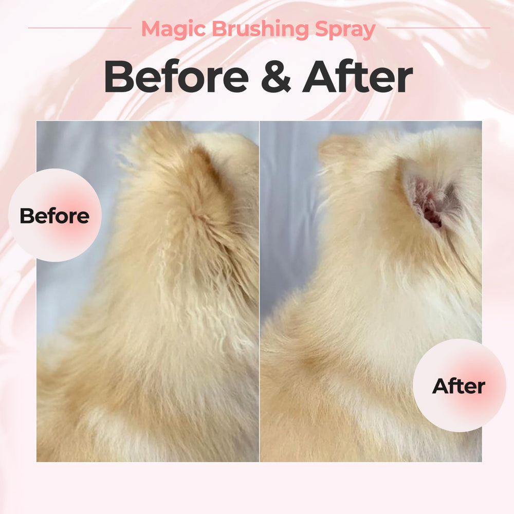 JAYU PET Magic Brushing Spray developed with vets for safe grooming