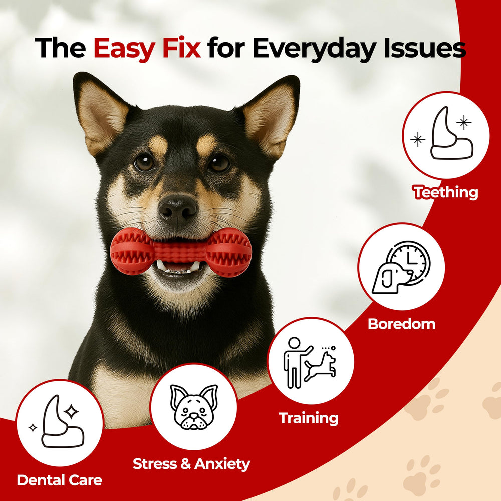JAYU PET toothbrush toy: deep grooves for teeth cleaning while playing