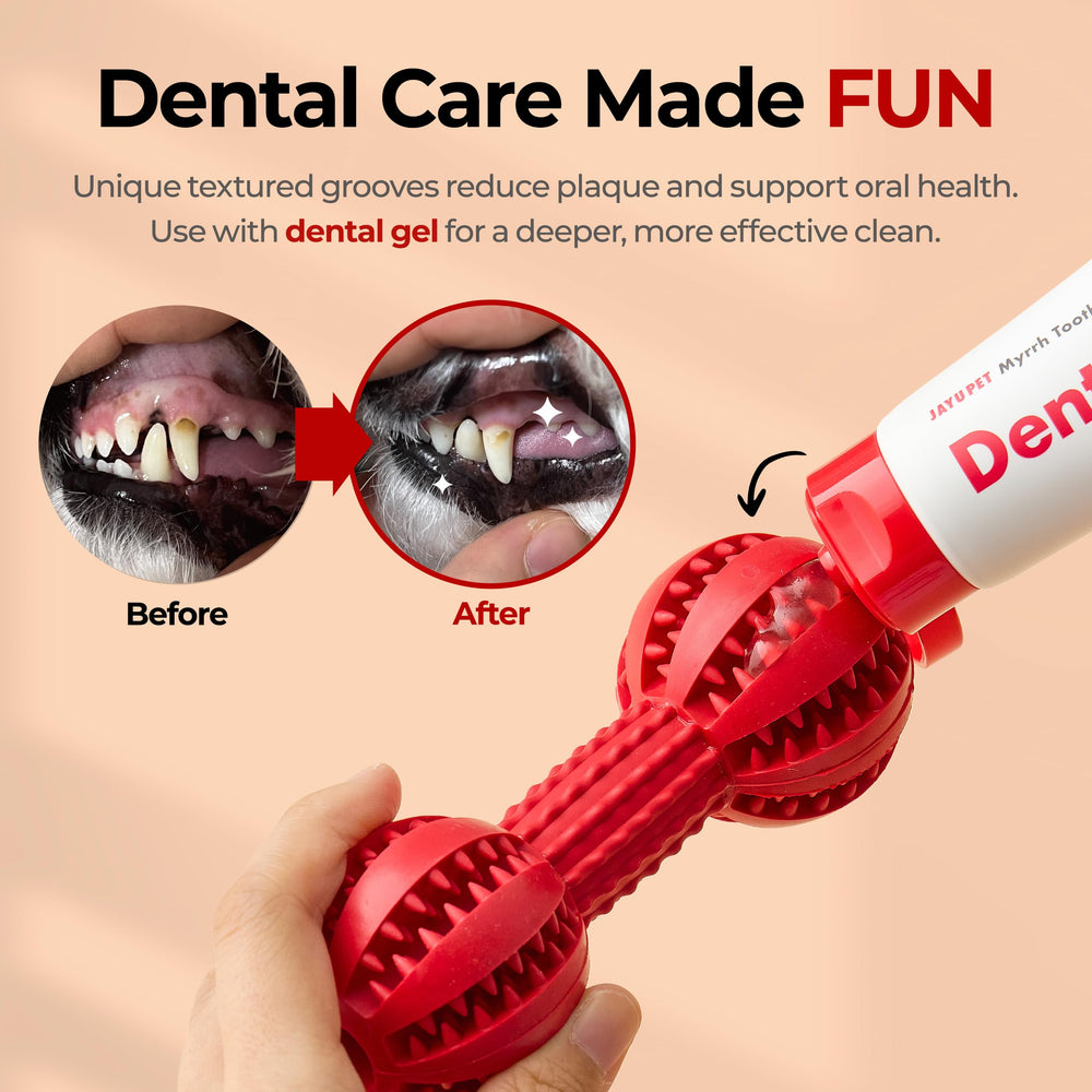 JAYU PET toothbrush toy: ergonomic grip for easy handling during chewing
