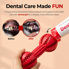 JAYU PET toothbrush toy: ergonomic grip for easy handling during chewing