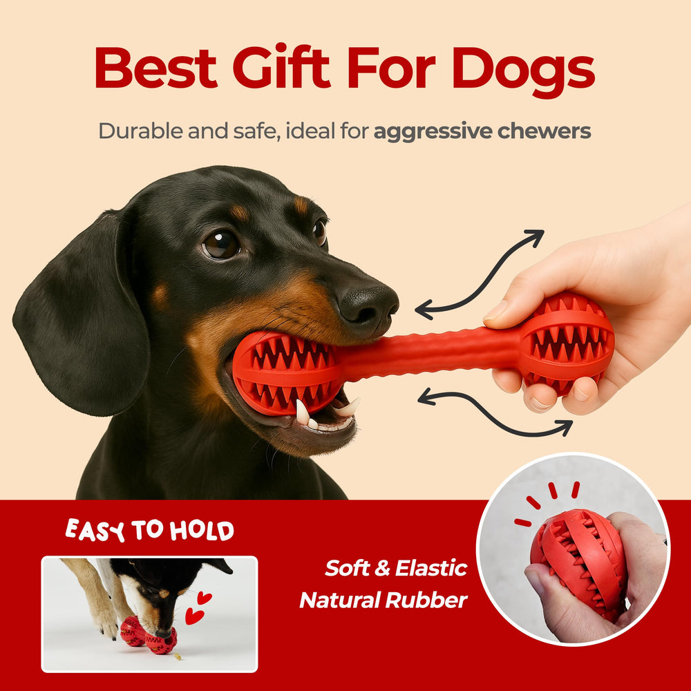 JAYU PET toothbrush toy: suitable for indoor and outdoor use