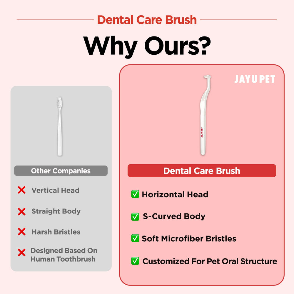 JAYU PET 3-pack kit for easy home dental care.