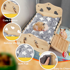 JAZUIHA stairs detail highlights easy access and pet friendly ramp.