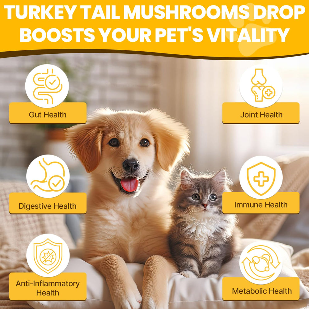Jazytiko dog with chicken-flavor serving, easy to mix with meals.