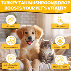 Jazytiko dog with chicken-flavor serving, easy to mix with meals.