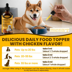 Jazytiko Turkey Tail for dogs, immune and digestive support in action.