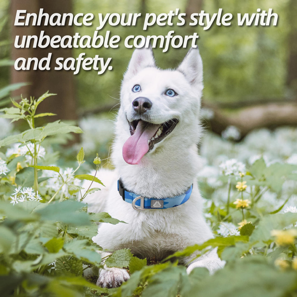 JC HOUSE camo blue dog collar full length for stylish outdoor adventures