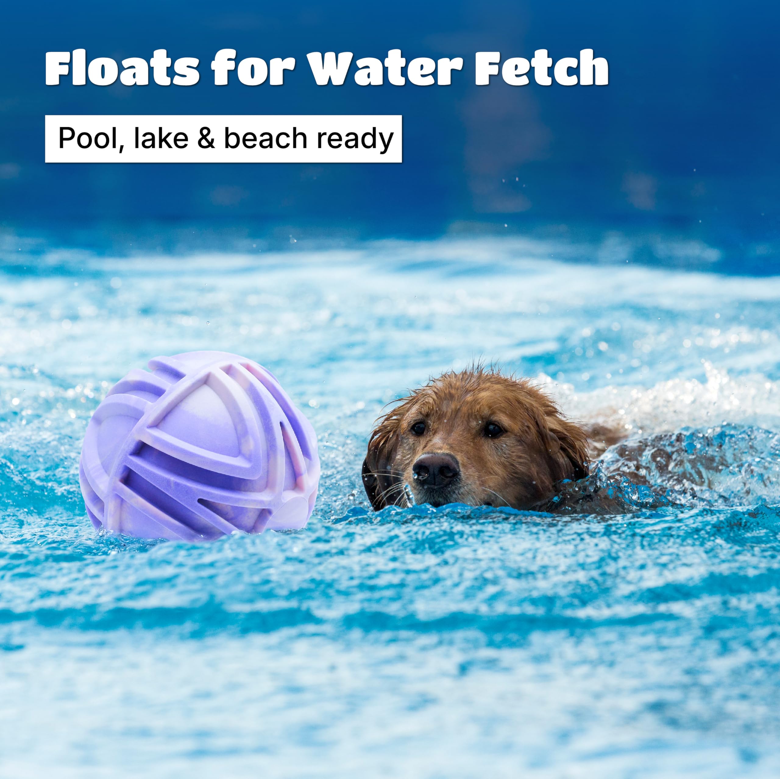 JC HOUSE dog balls bouncy toy 7-inch size ideal for large breeds.