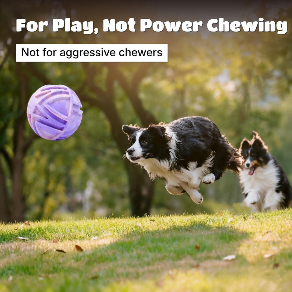 JC HOUSE dog balls bouncy toy outdoor play suitable for fetch adventures.