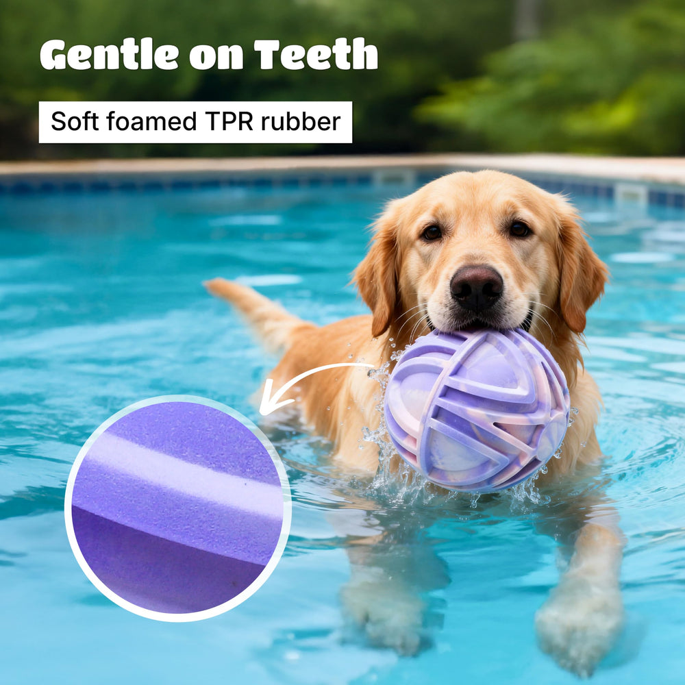 JC HOUSE dog balls bouncy toy pink purple ombre adds playful visibility.