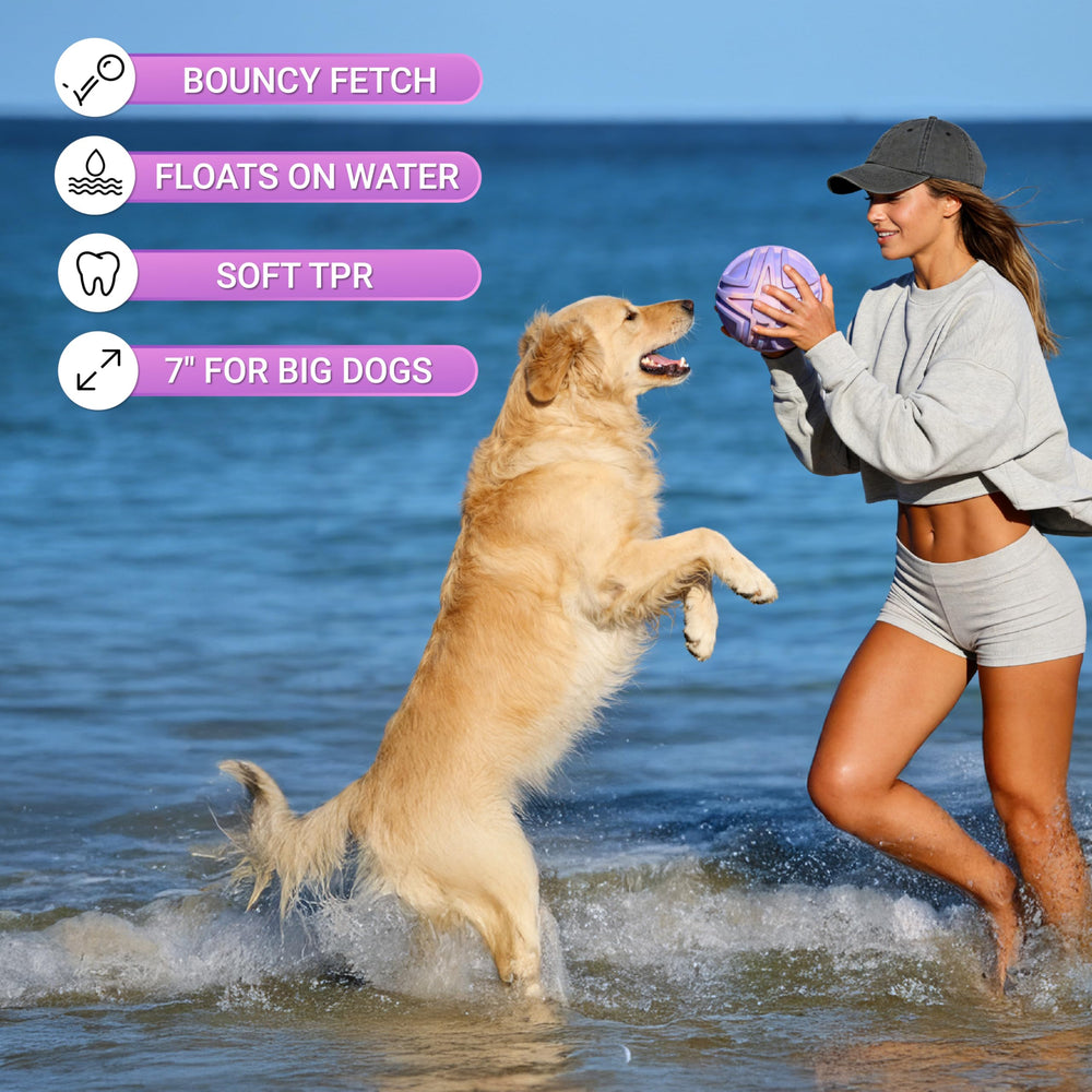 JC HOUSE dog balls bouncy toy water-floating floats for splashy fetch.
