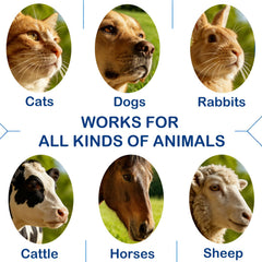 Jdicklary Pet Eye Cream label close-up with 3.5g dual-tube pack.
