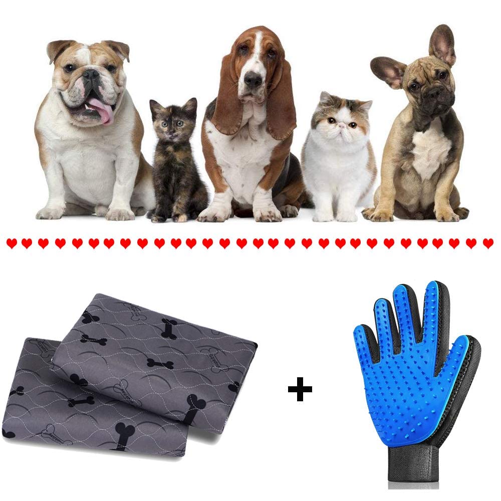 JdPet large kennel pad ideal for crates and travel.