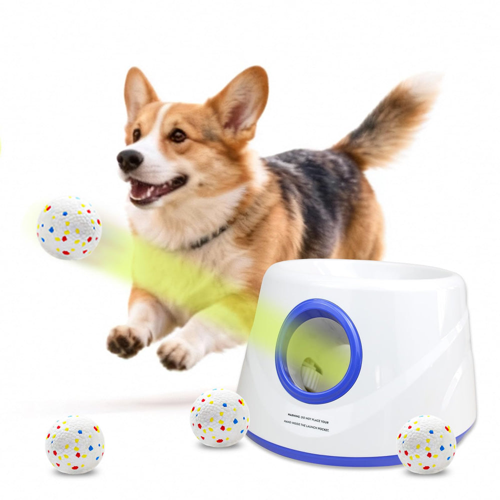 JDXSZ Automatic Ball Launcher delivers a precise fetch arc for dogs, hands-free play outdoors.