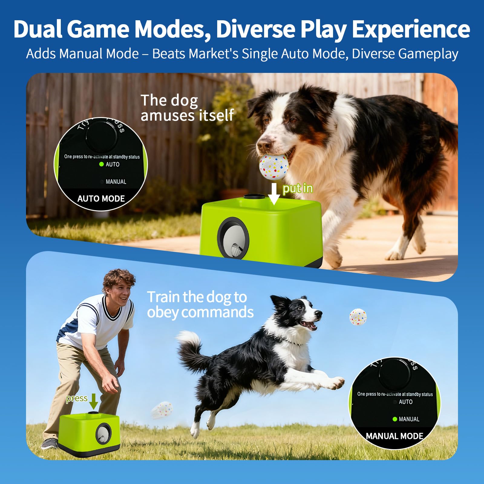 JDXSZ durable indoor/outdoor design built to withstand enthusiastic dogs.