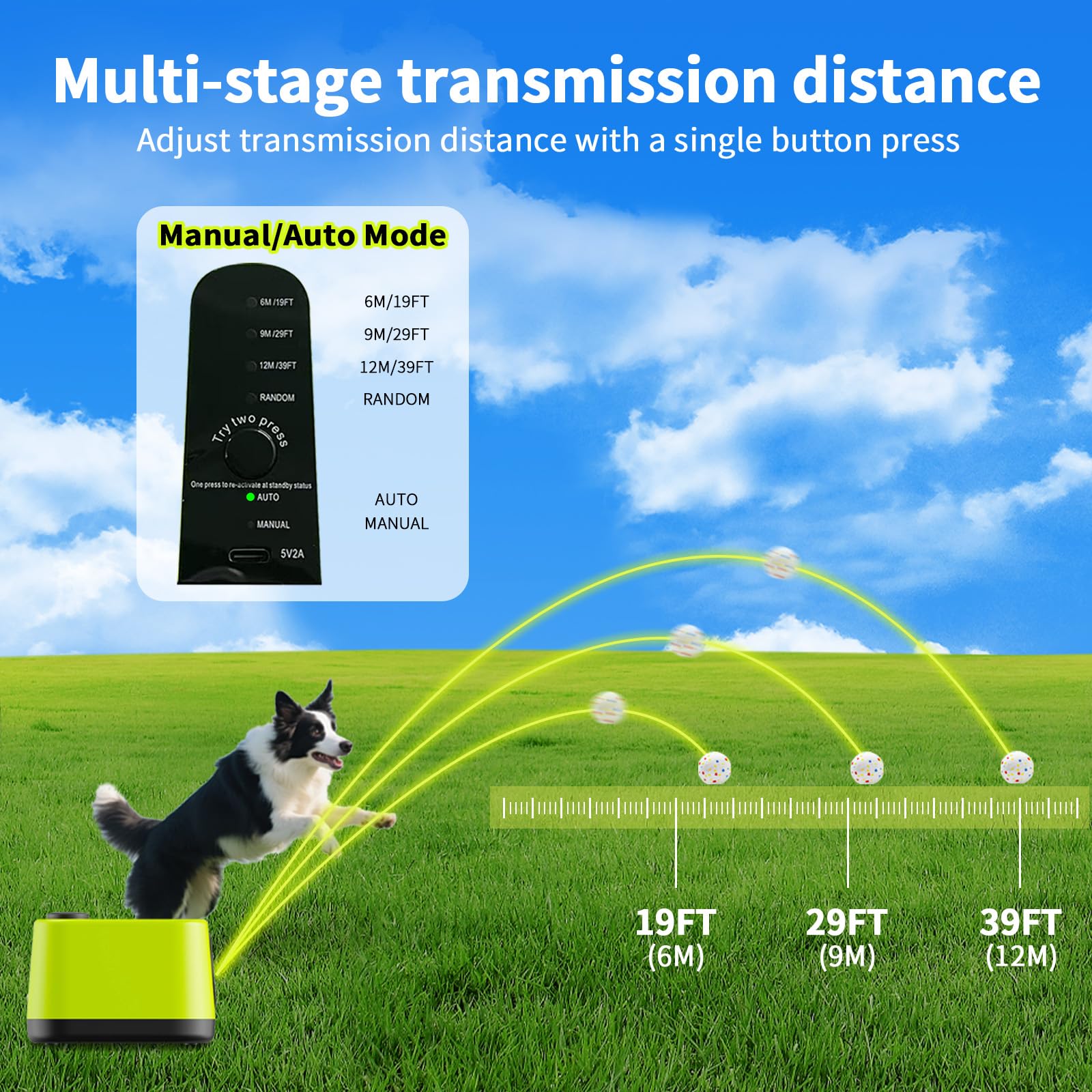 JDXSZ included training guide helps gentle dog introduction.