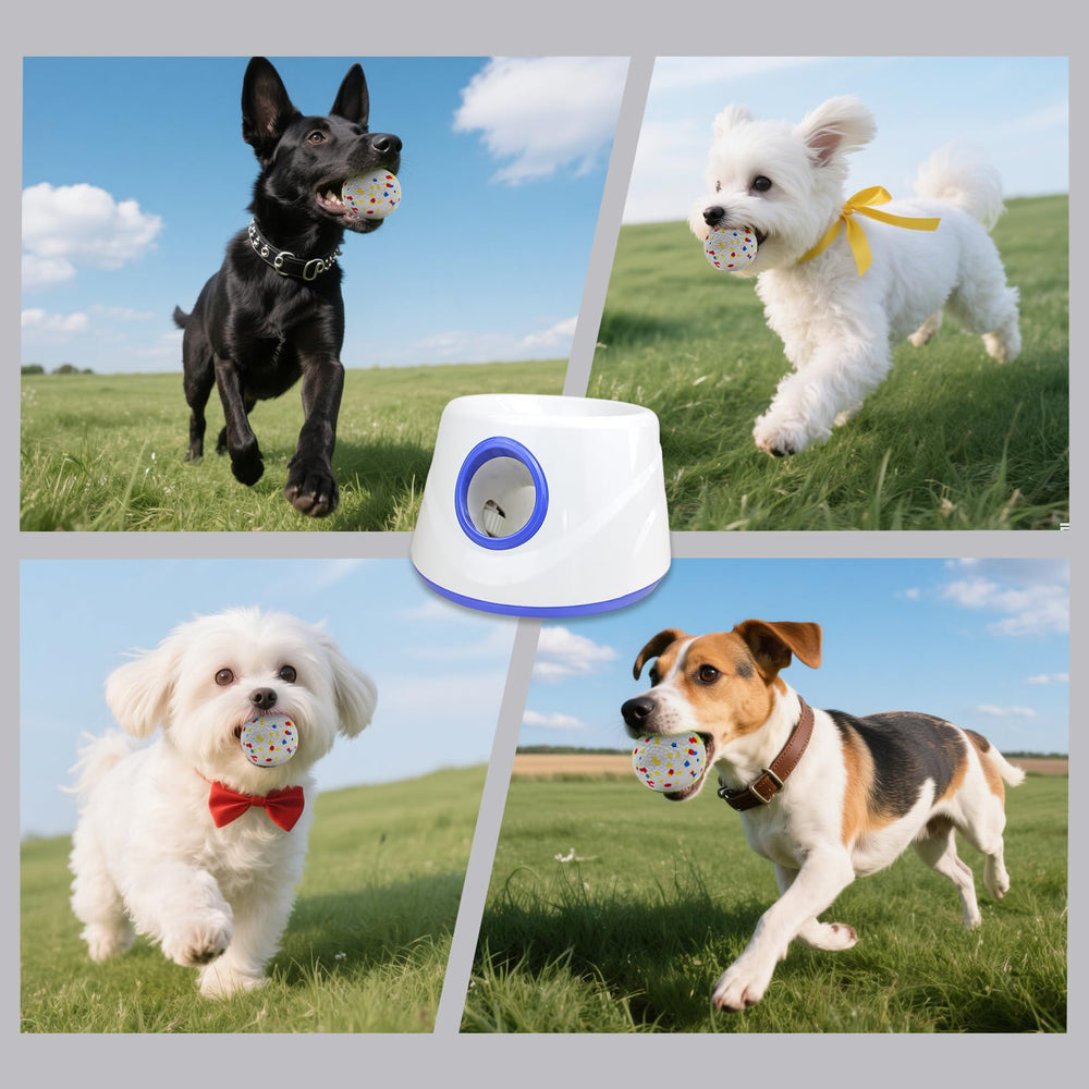 JDXSZ device designed for small to medium dogs, highlighting compatibility and safe use.