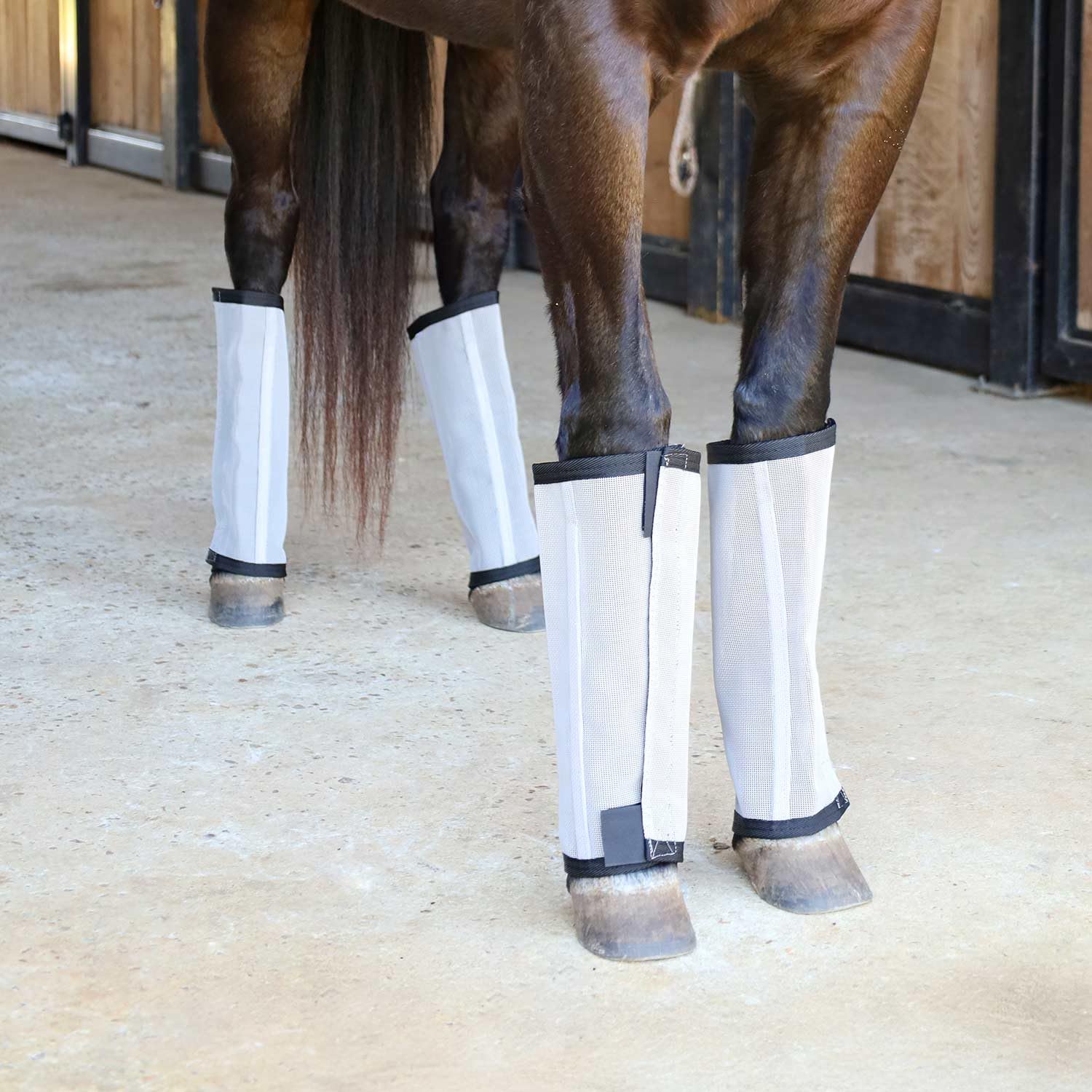 Jeffers Romper Stomper Fly Boots side view, secure adjustable fit for turnout