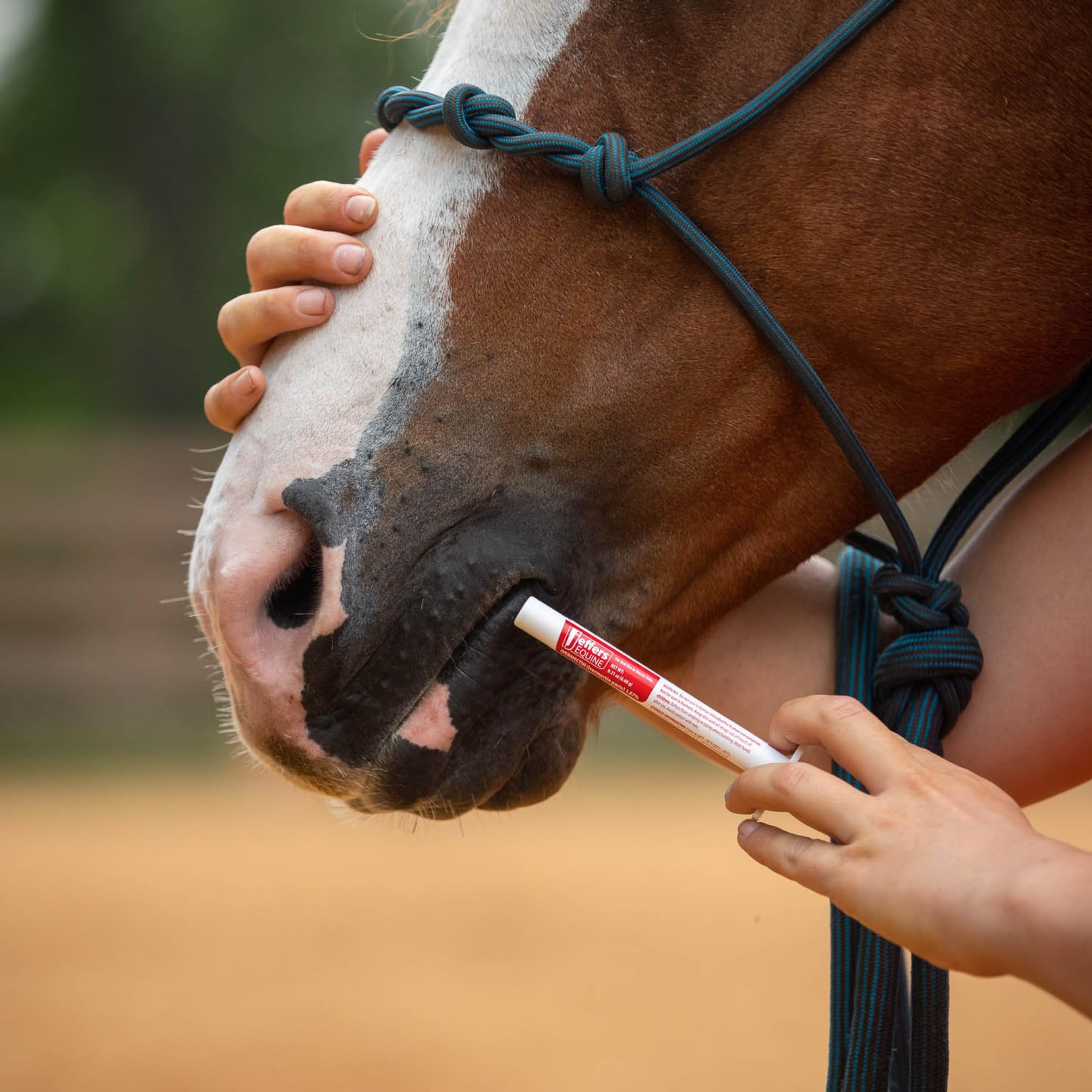 Jeffers ivermectin gel smooth yellow gel texture seen for easy dosing.