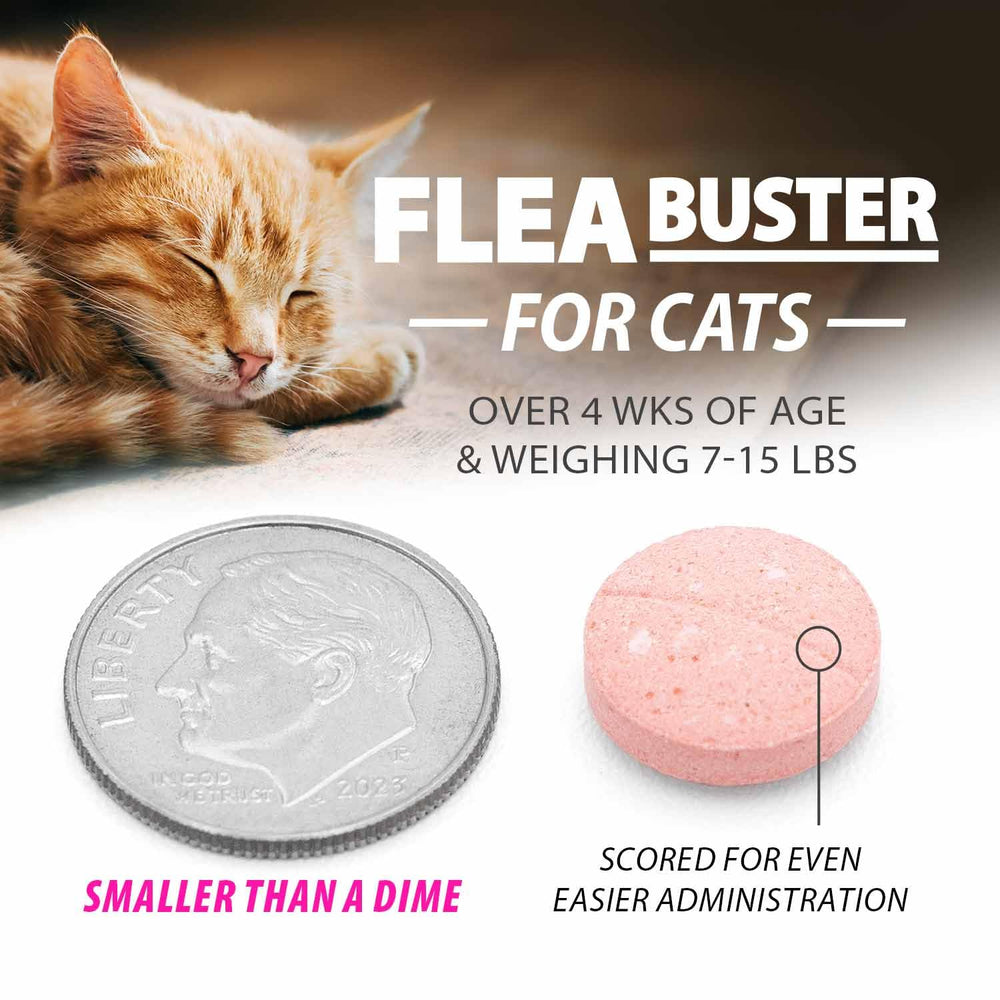 Jeffers Pet Flea Buster cat taking a tablet for straightforward administration.