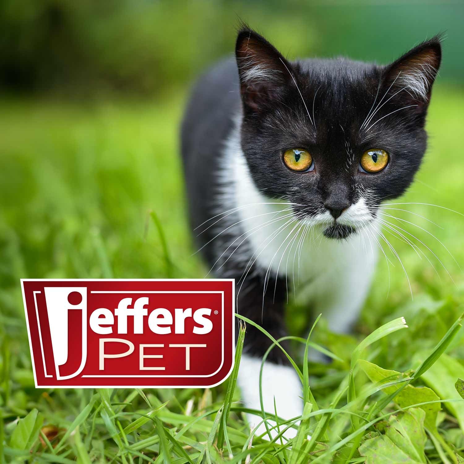 Jeffers Flea Buster kitten-to-adult use supports growing cats.