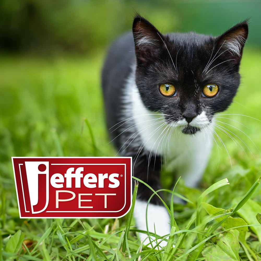 Jeffers Flea Buster kitten-to-adult use supports growing cats.