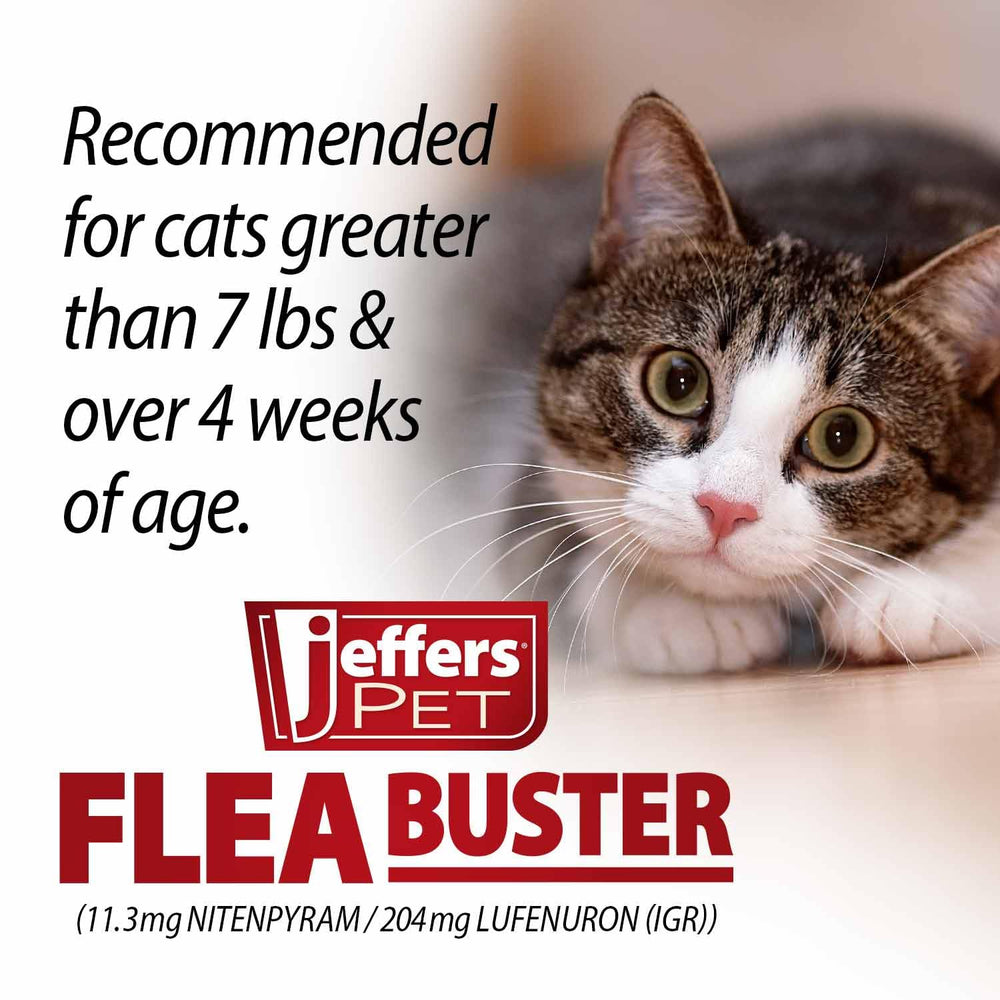Jeffers Flea Buster travel packaging ideal for trips and outdoor adventures.
