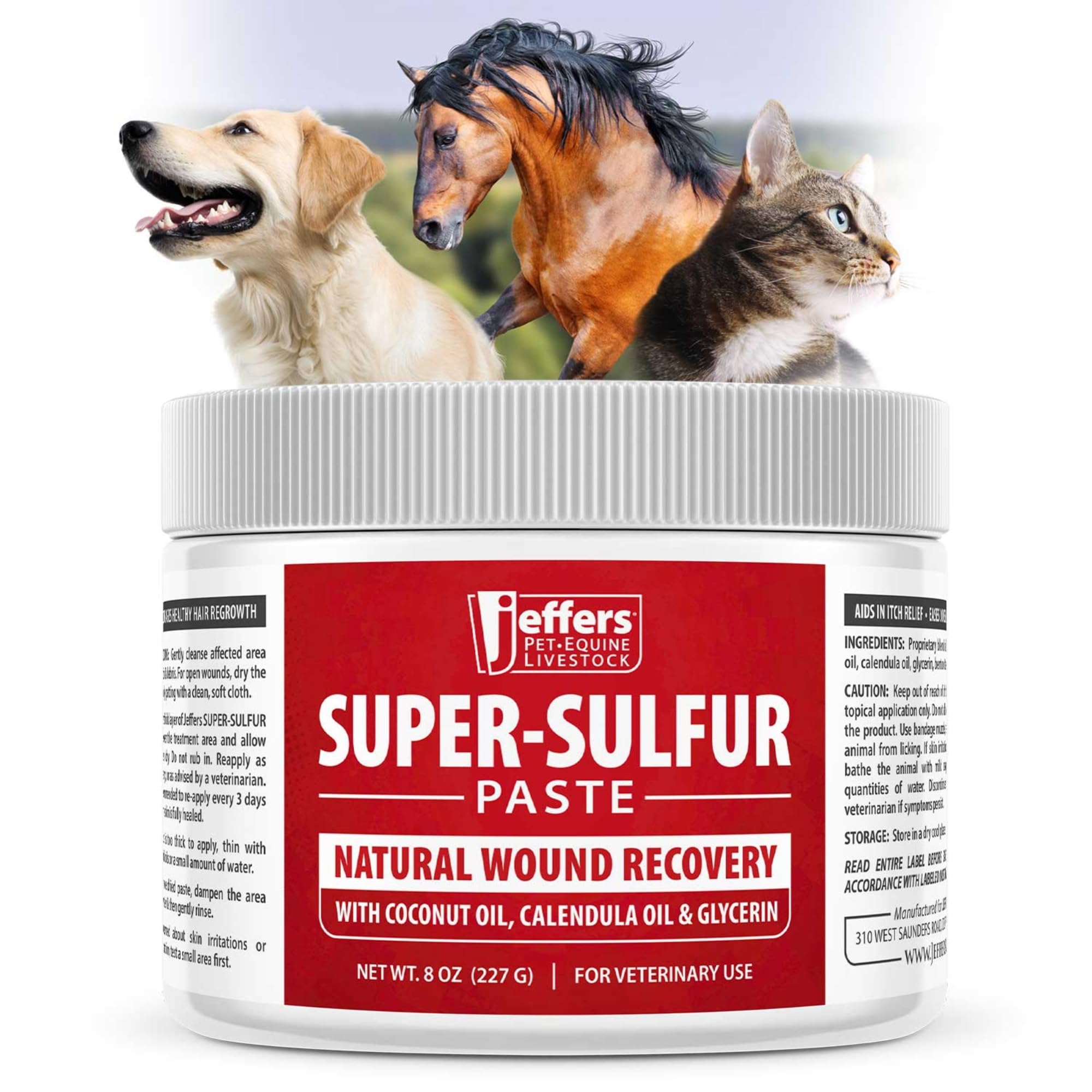 Jeffers Super Sulfur paste applied to a dog's dry skin for soothing care