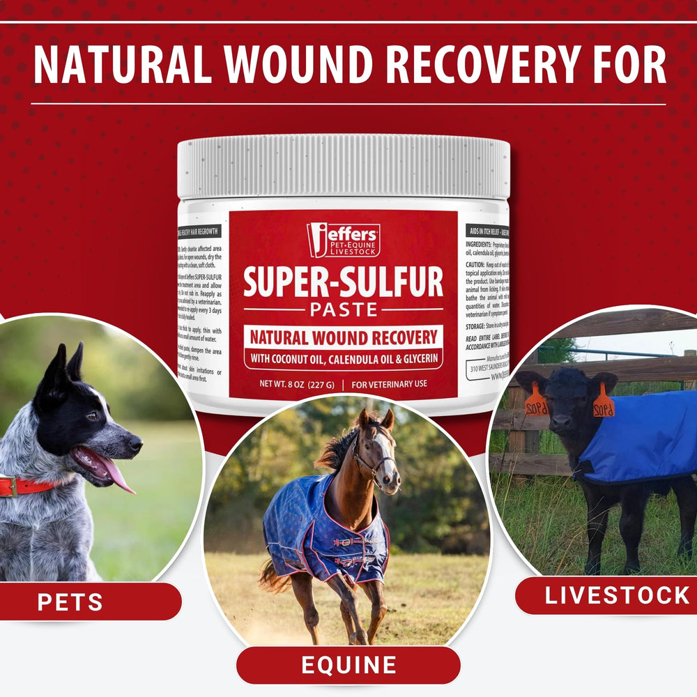 Jeffers Super Sulfur paste paw-care shown for gentle coverage