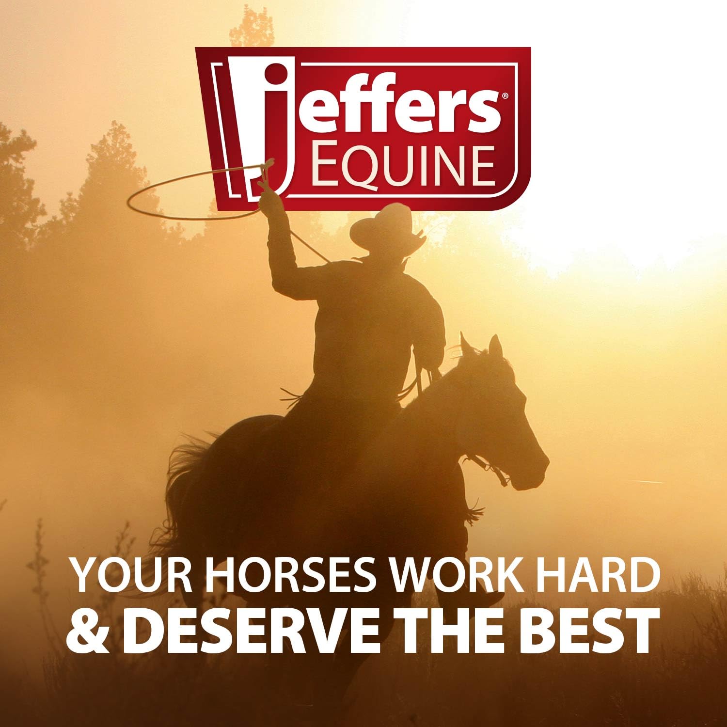 Farrier or groomer applying Jeffers Thrush Away during routine check