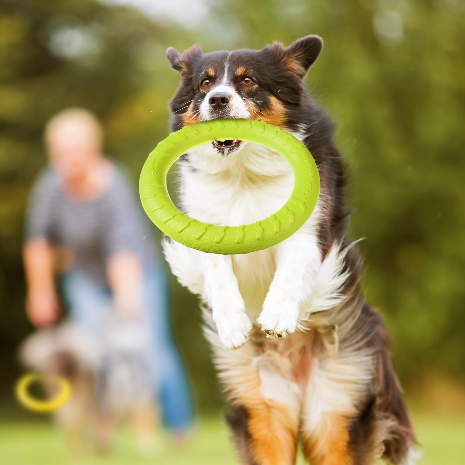 Jenaai 7.48-inch ring toy, ideal size for medium and large dogs.