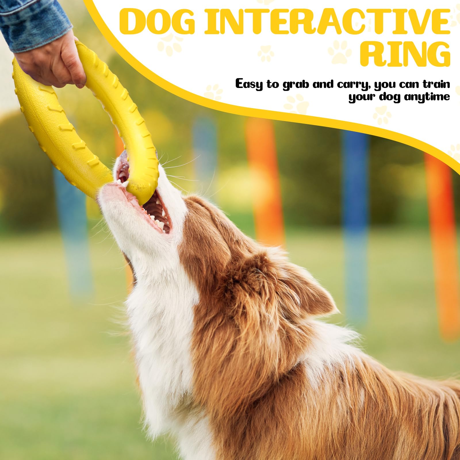 Jenaai training ring promotes bonding during active games and exercise.