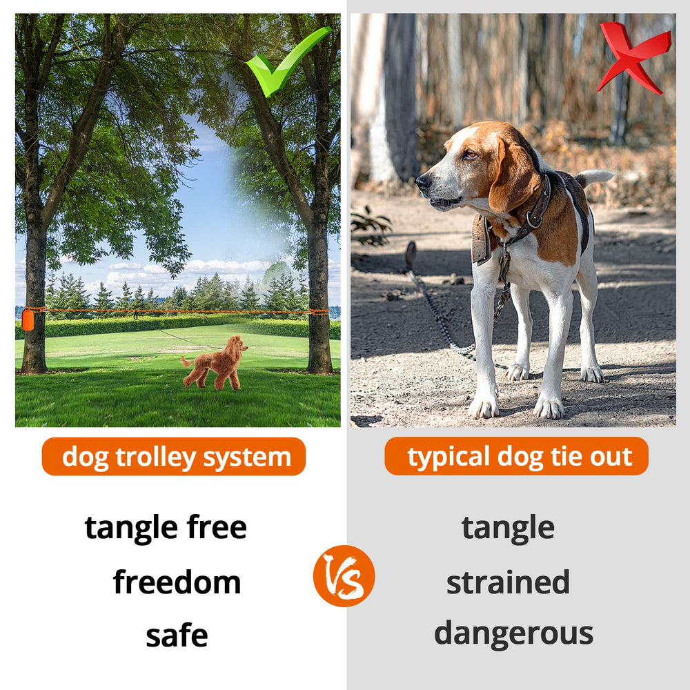 Jenico dog tie-out cable 100ft for extended adventures with visibility