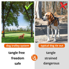 Jenico dog tie-out cable 100ft for extended adventures with visibility