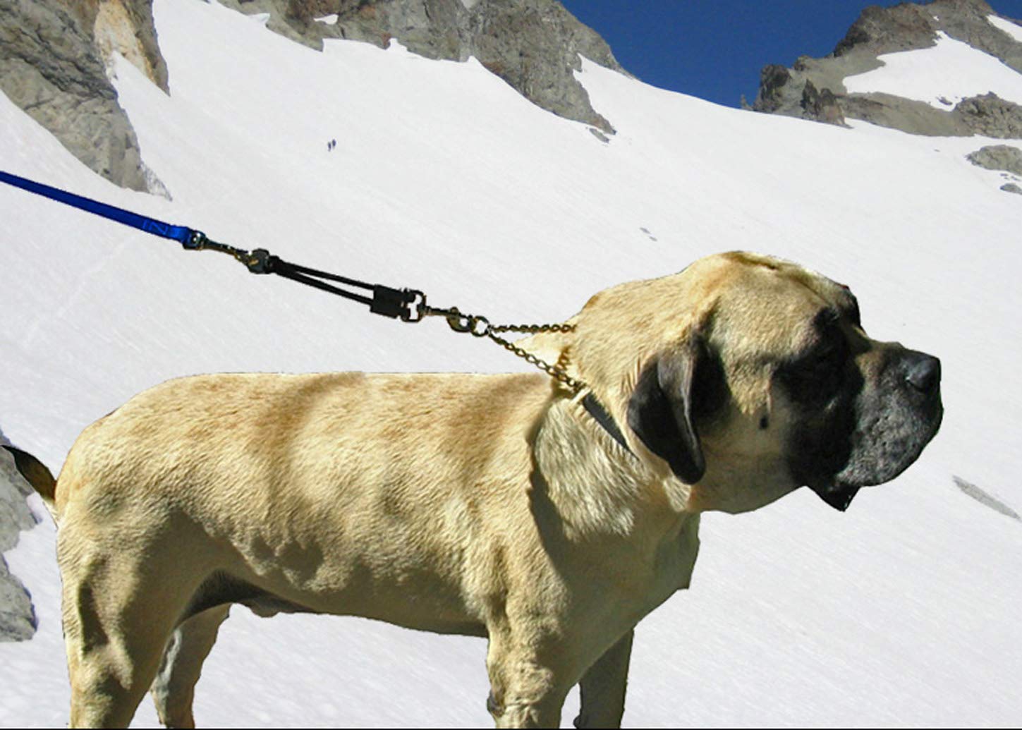 JERK-EASE extension ideal for walking jogging and hiking with pets