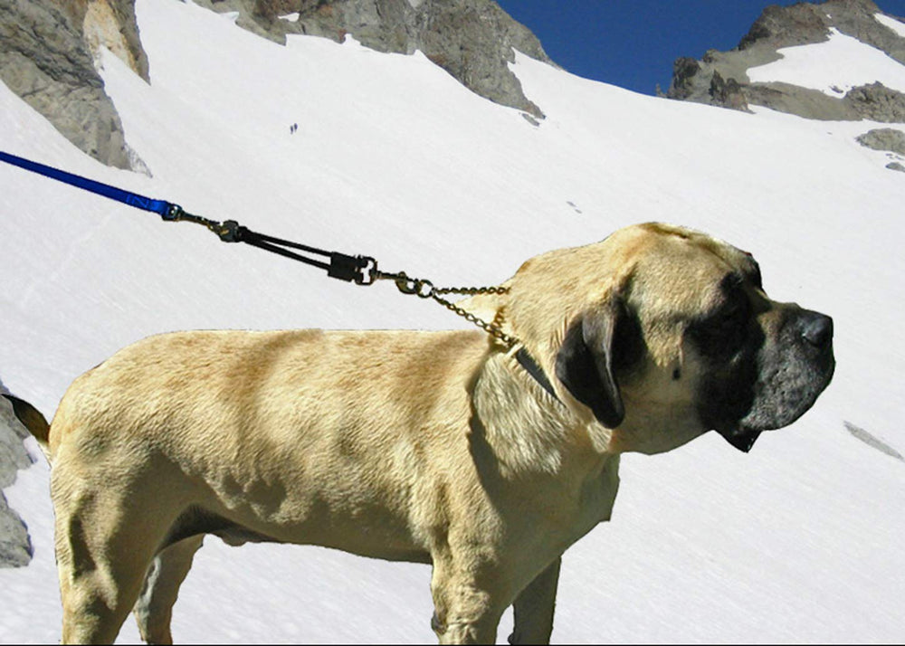 JERK-EASE extension ideal for walking jogging and hiking with pets