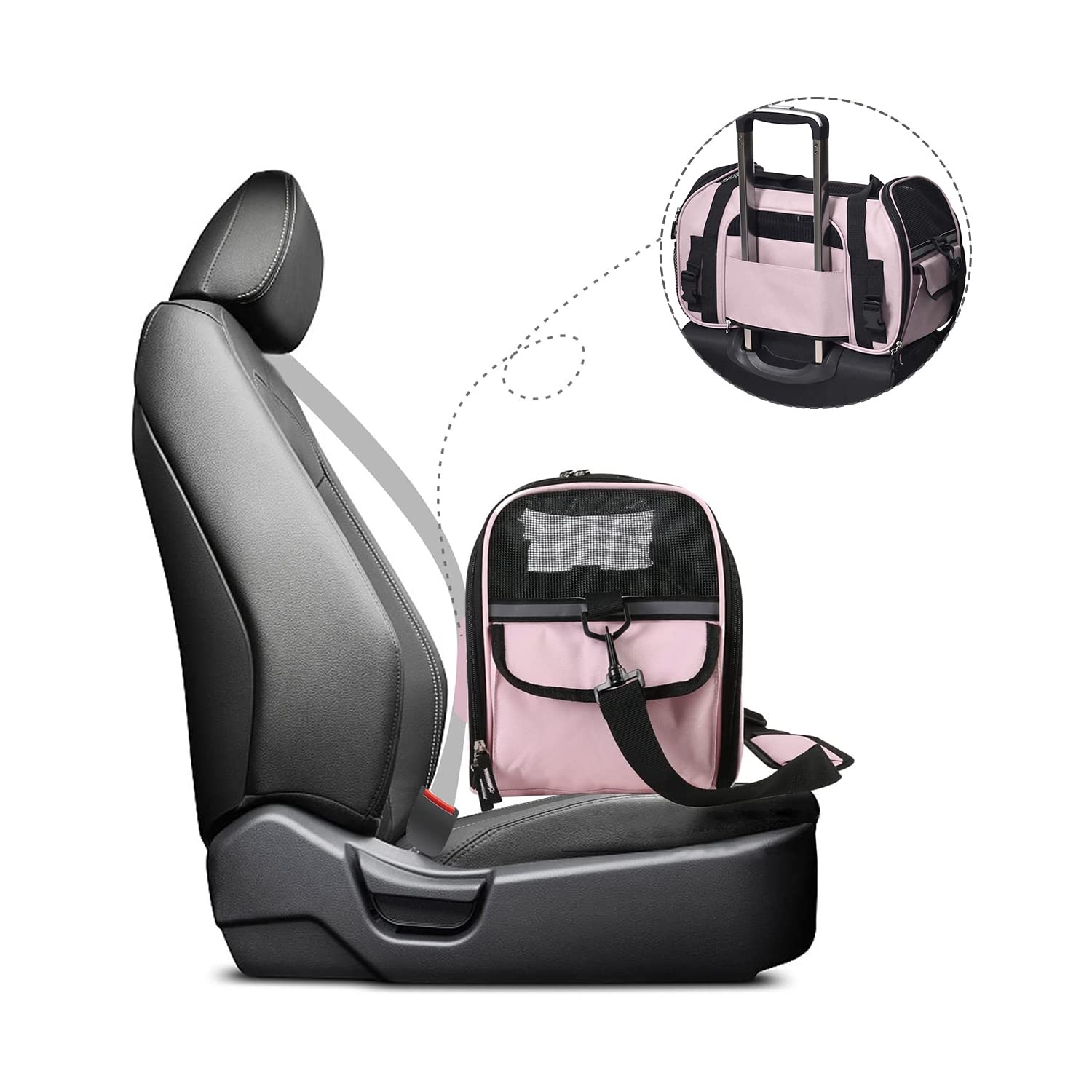 JESPET removable pad adds comfort and eases cleaning.
