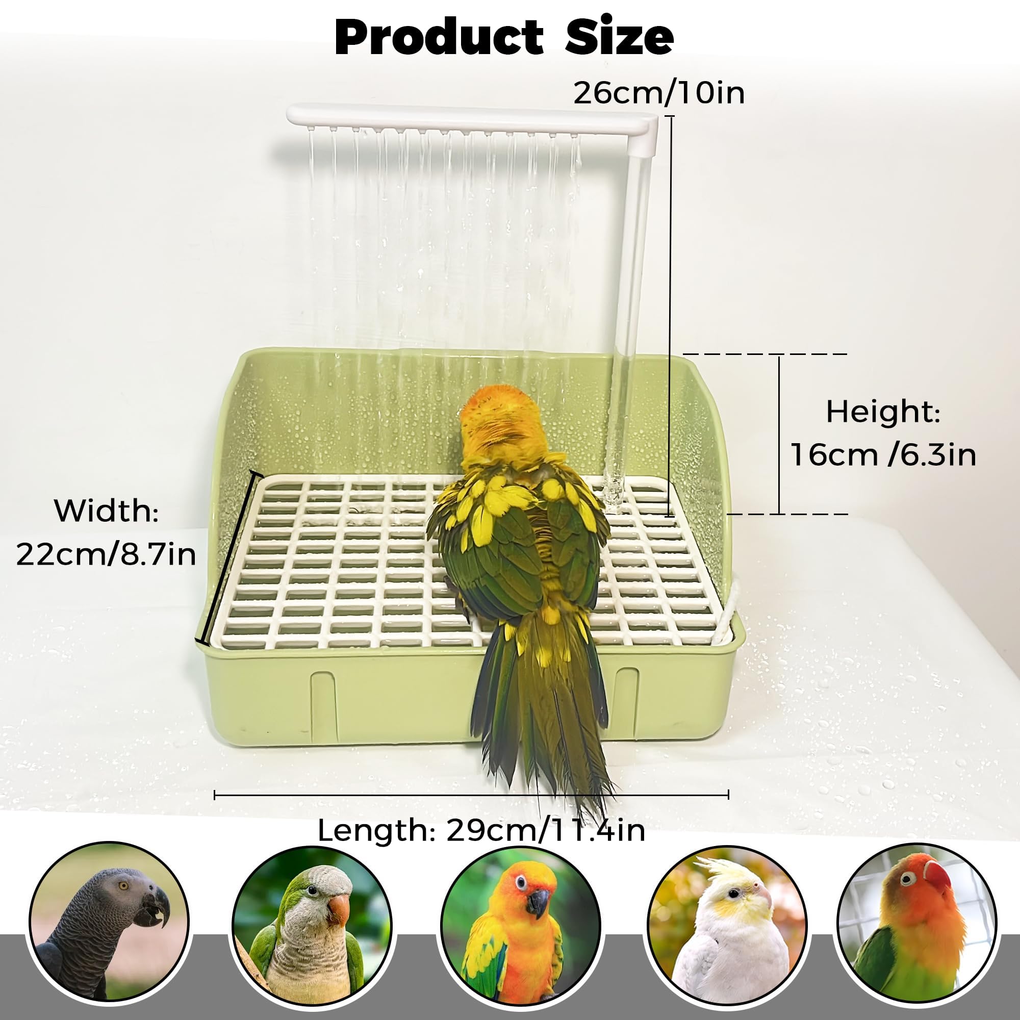 Jevnd feeder box function lets birds drink or snack during bath