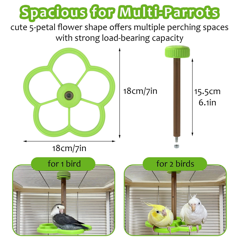 Jevnd Interactive spinning action encourages movement for birds