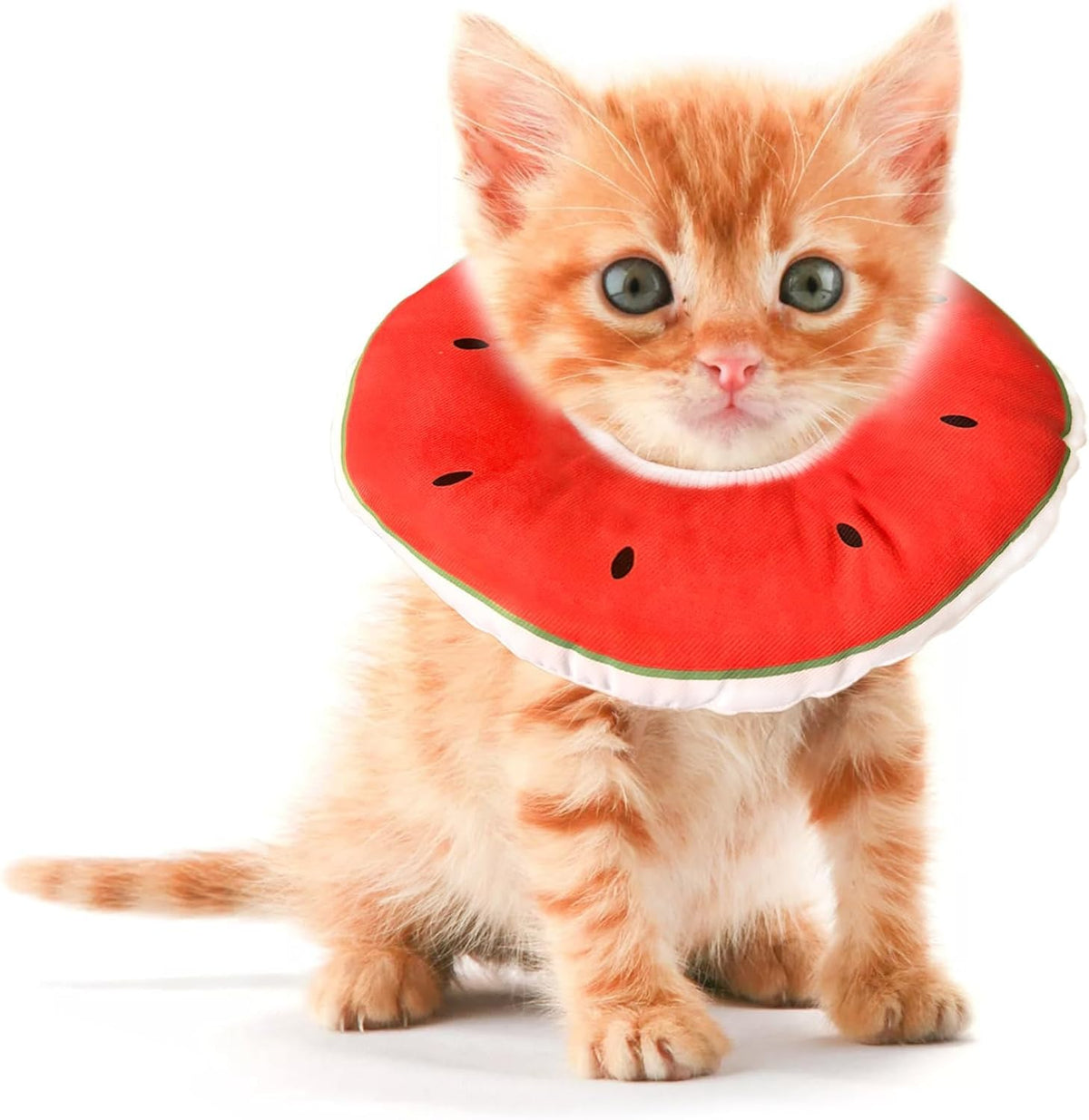 Jevnd kitten cone soft donut outer view for gentle recovery and reduced stress