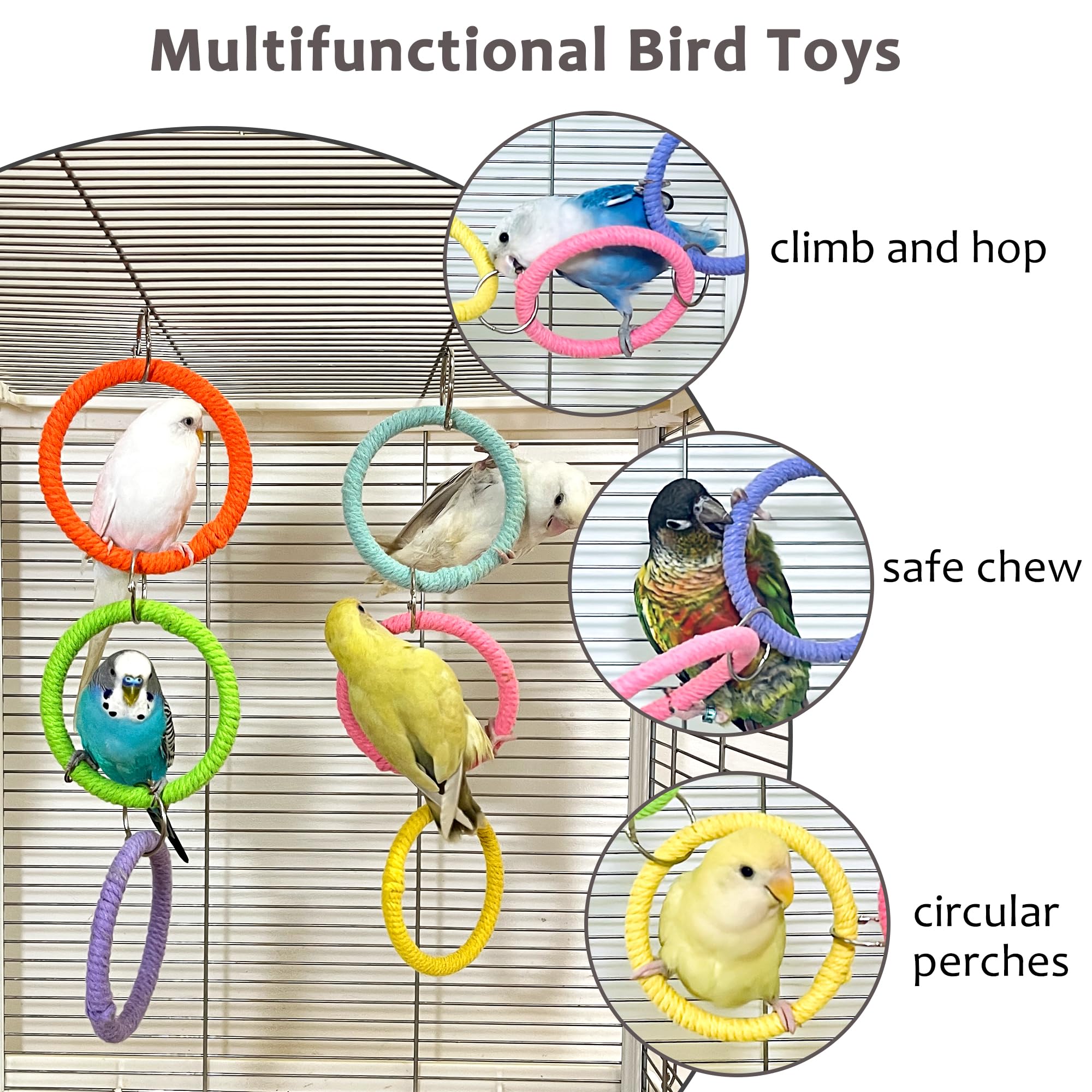 Jevnd multi-bird swing supports social play for small to medium parrots.