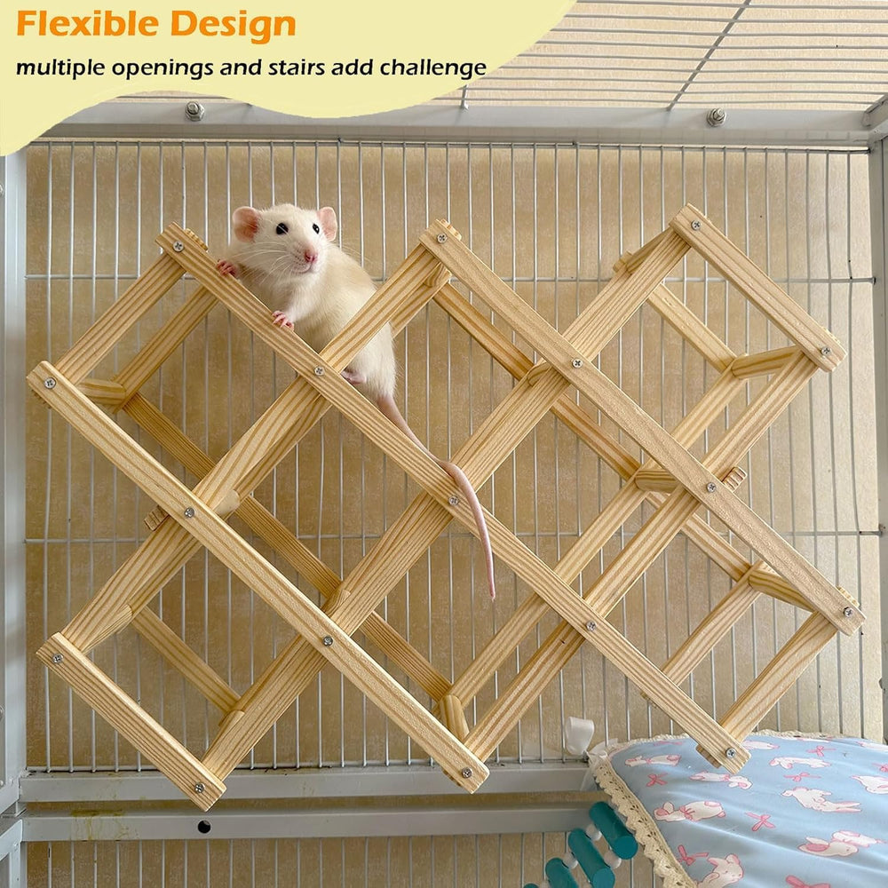 Jevnd natural wooden rat toy provides a safe outlet for chewing, climbing, and exploration.