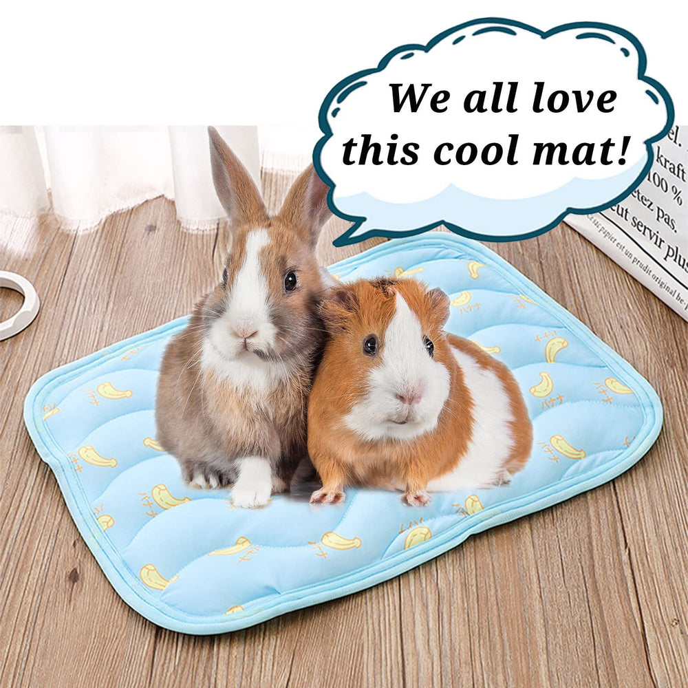 Portable Jevnd cooling mat suitable for cage, bed, or outdoor shade.
